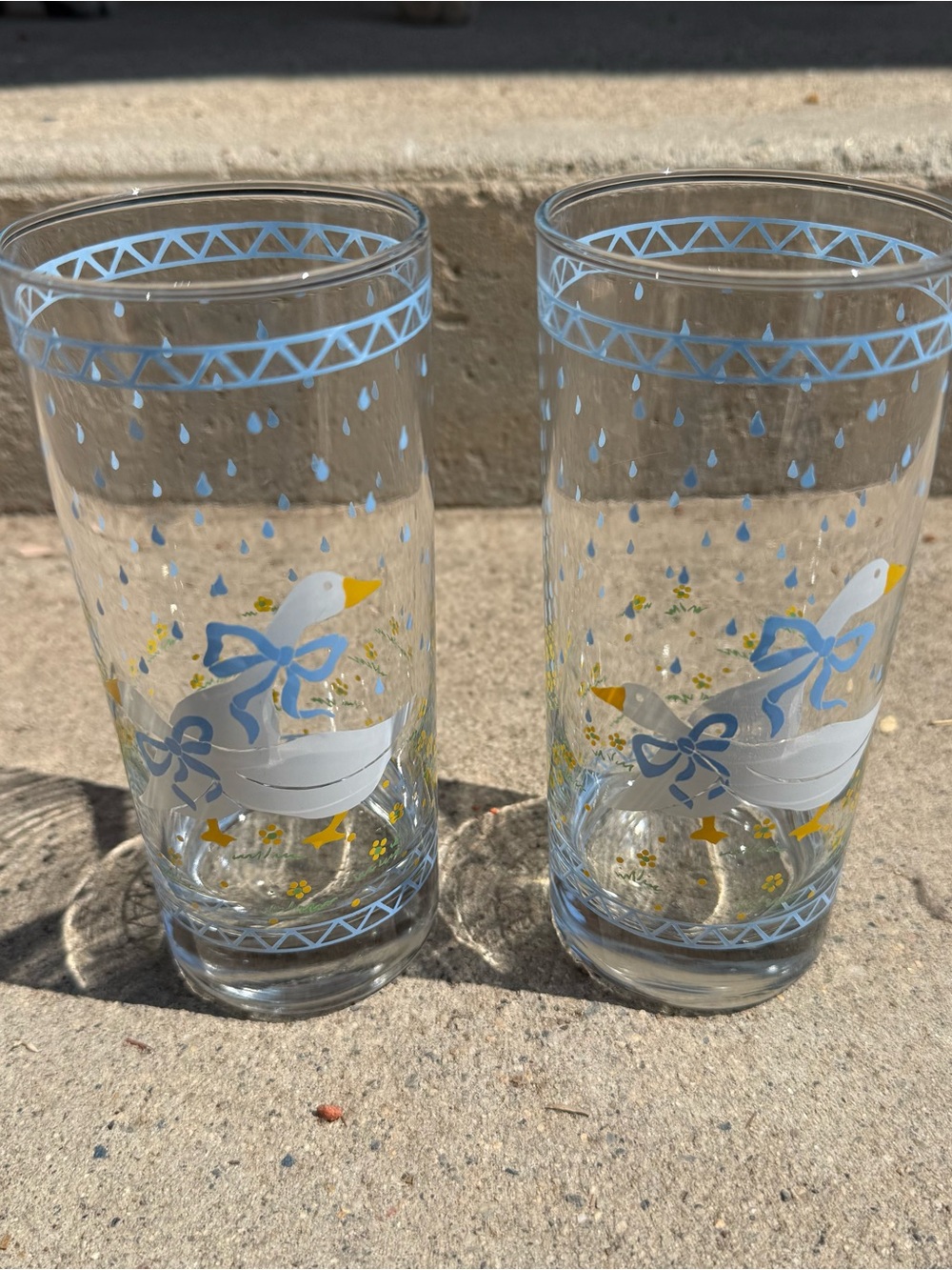 1987 Country Kitchen Core Goose Tumbler Pair 16oz Vintage CottageCore Farmhouse